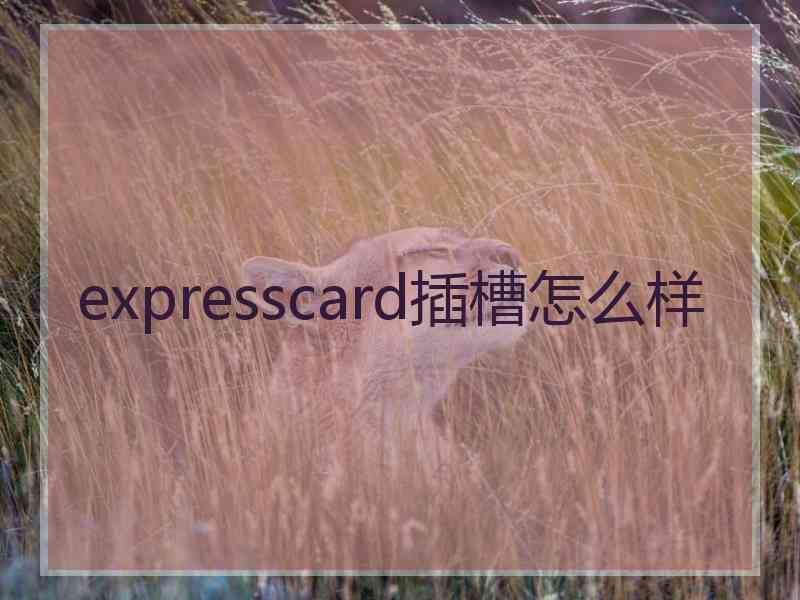 expresscard插槽怎么样