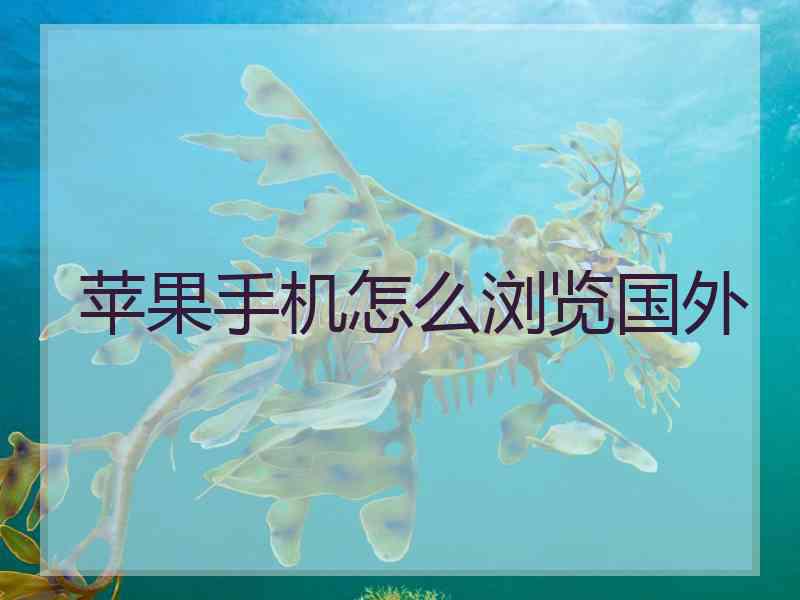 苹果手机怎么浏览国外