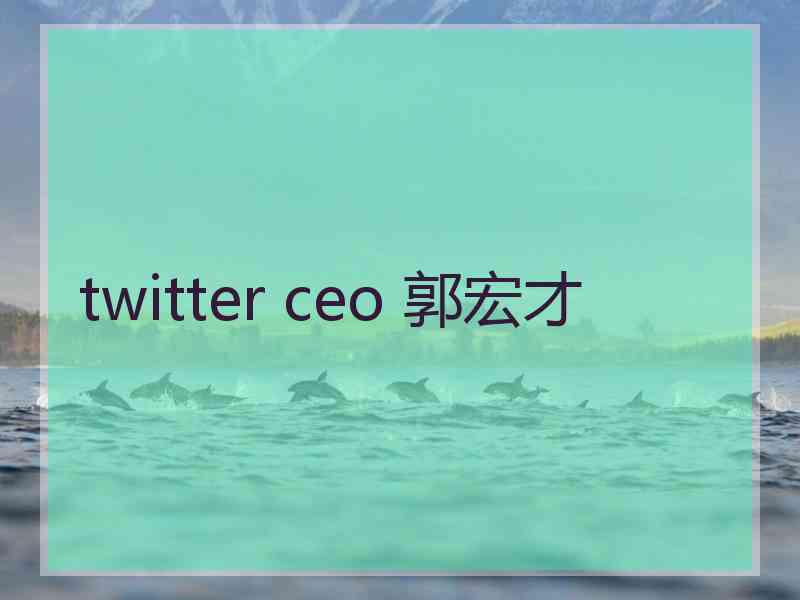 twitter ceo 郭宏才