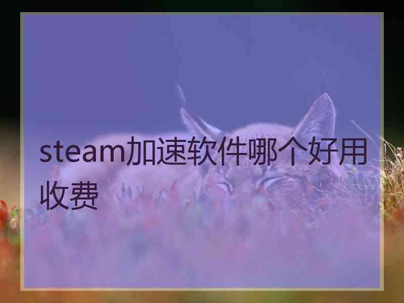 steam加速软件哪个好用收费