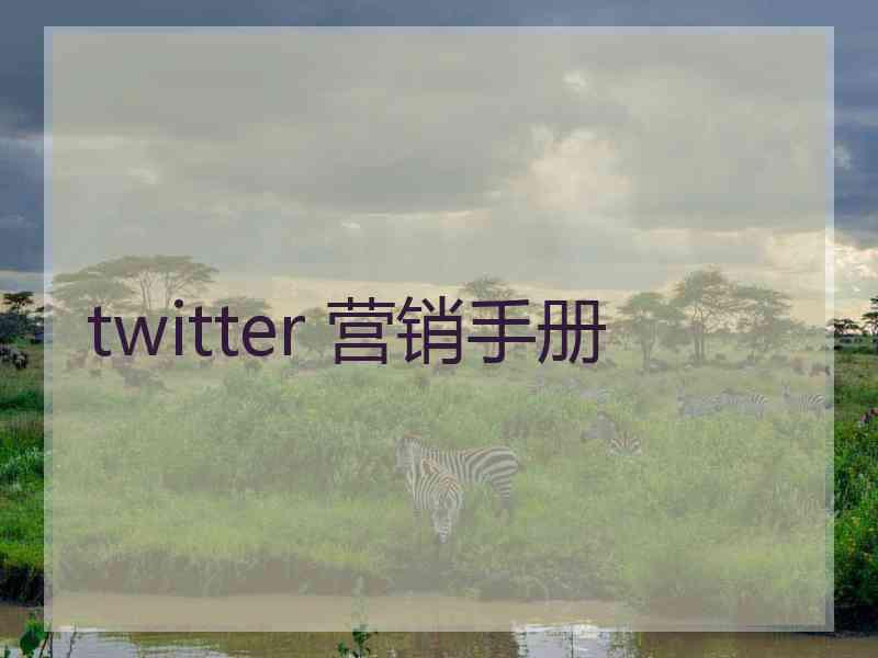 twitter 营销手册