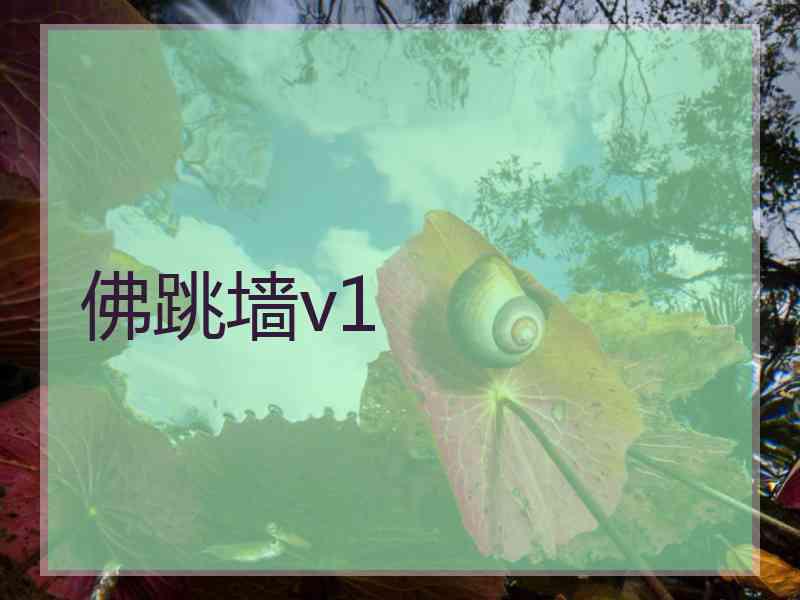 佛跳墙v1