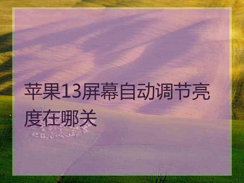 苹果13屏幕自动调节亮度在哪关