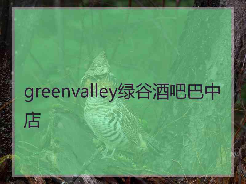 greenvalley绿谷酒吧巴中店