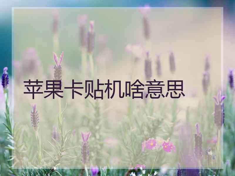 苹果卡贴机啥意思