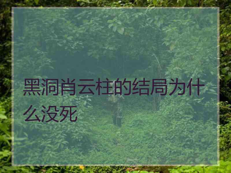 黑洞肖云柱的结局为什么没死