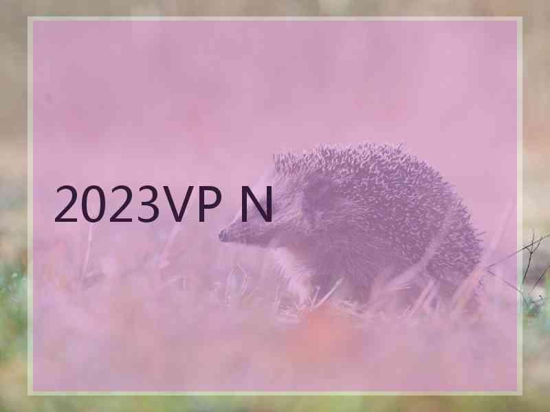 2023VP N