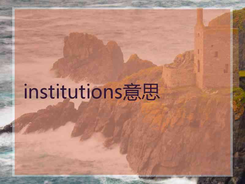 institutions意思