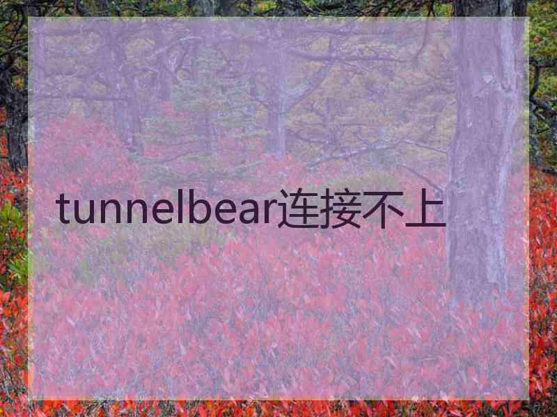 tunnelbear连接不上