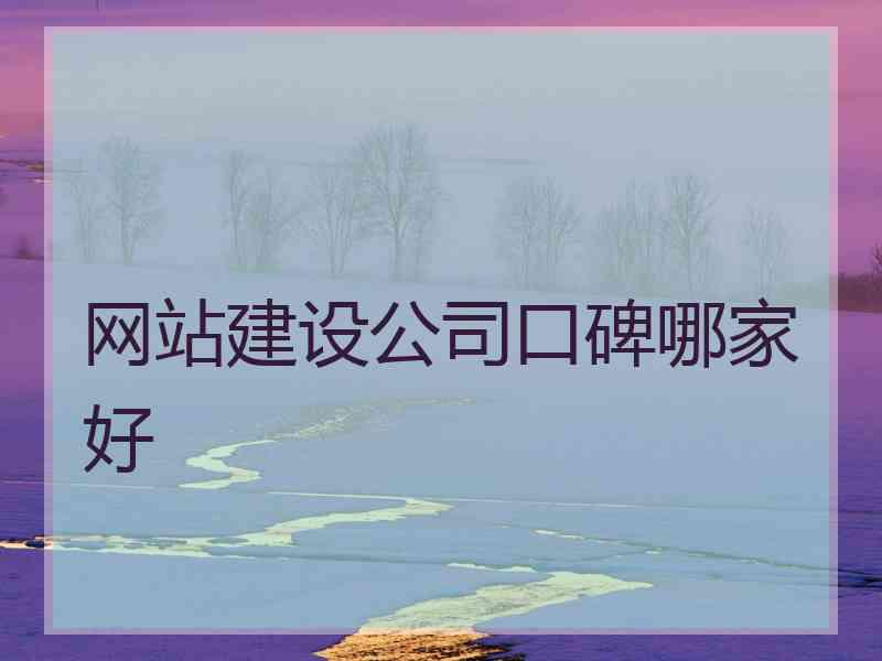 网站建设公司口碑哪家好