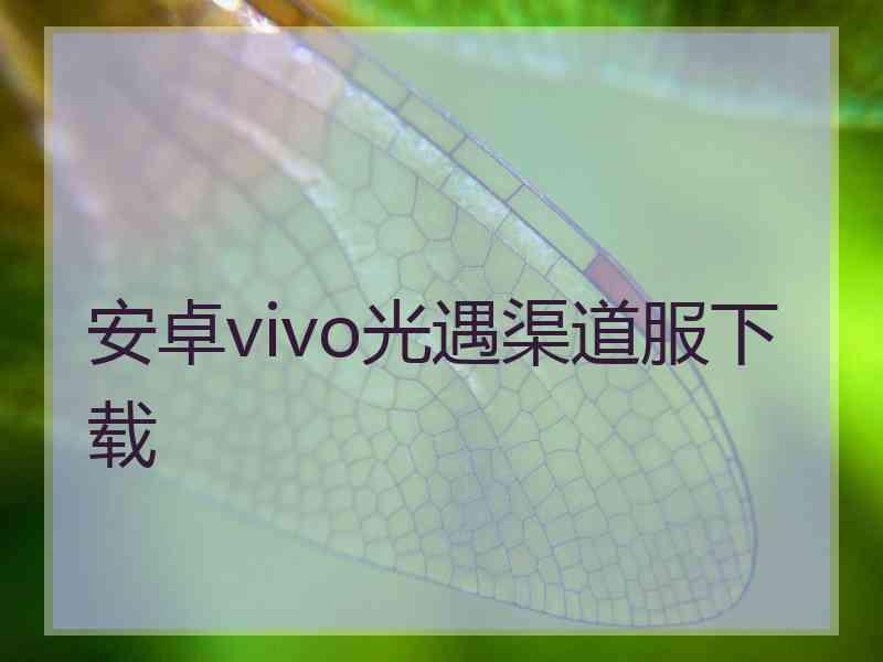 安卓vivo光遇渠道服下载