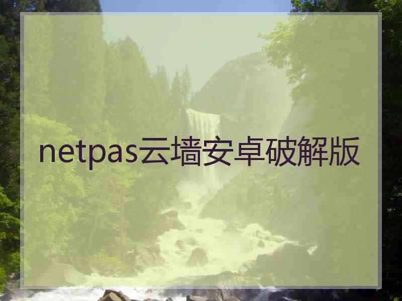 netpas云墙安卓破解版