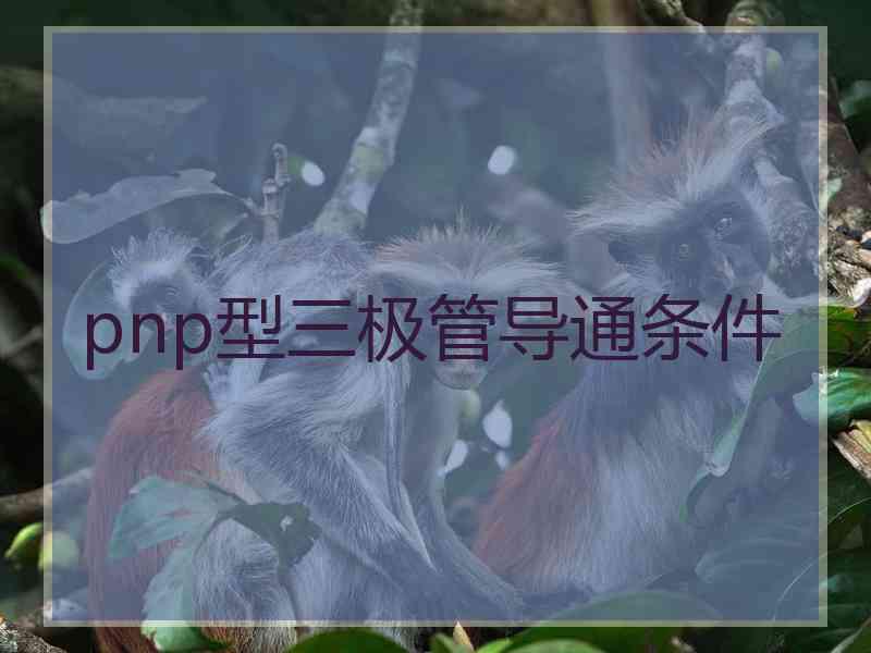 pnp型三极管导通条件