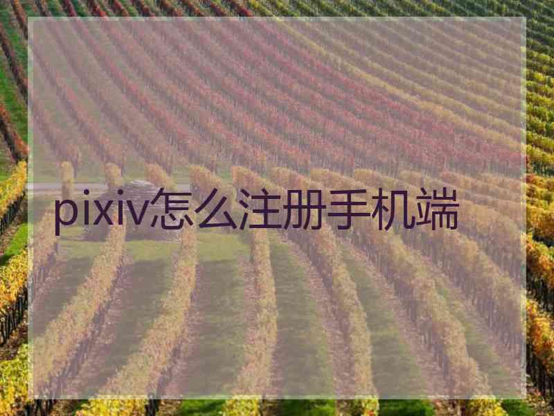 pixiv怎么注册手机端