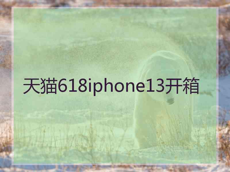 天猫618iphone13开箱