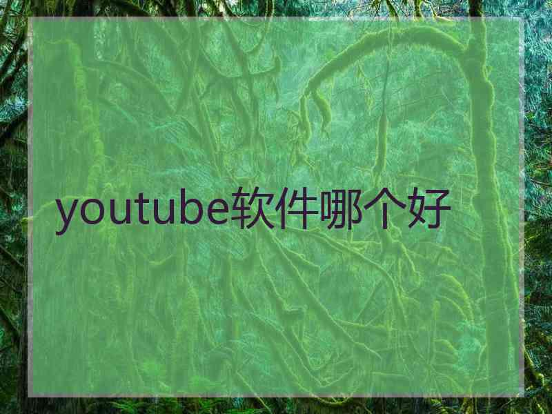 youtube软件哪个好