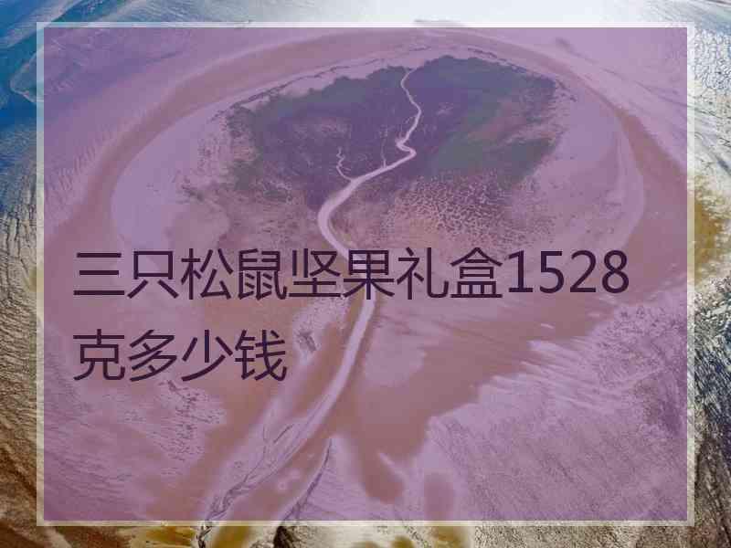 三只松鼠坚果礼盒1528克多少钱