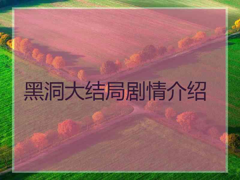 黑洞大结局剧情介绍