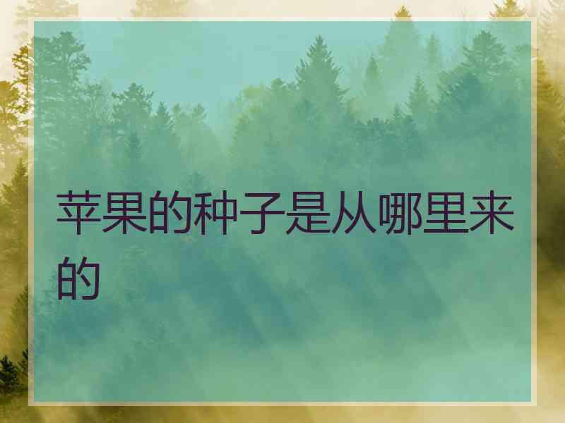 苹果的种子是从哪里来的