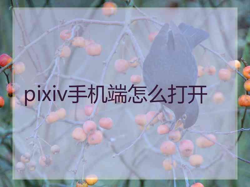 pixiv手机端怎么打开