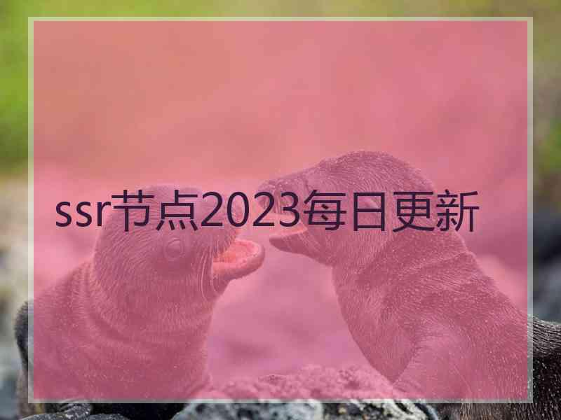 ssr节点2023每日更新