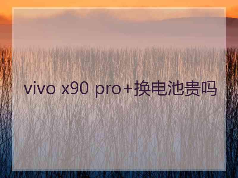 vivo x90 pro+换电池贵吗