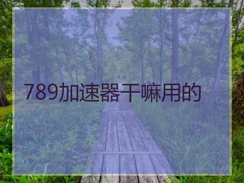 789加速器干嘛用的