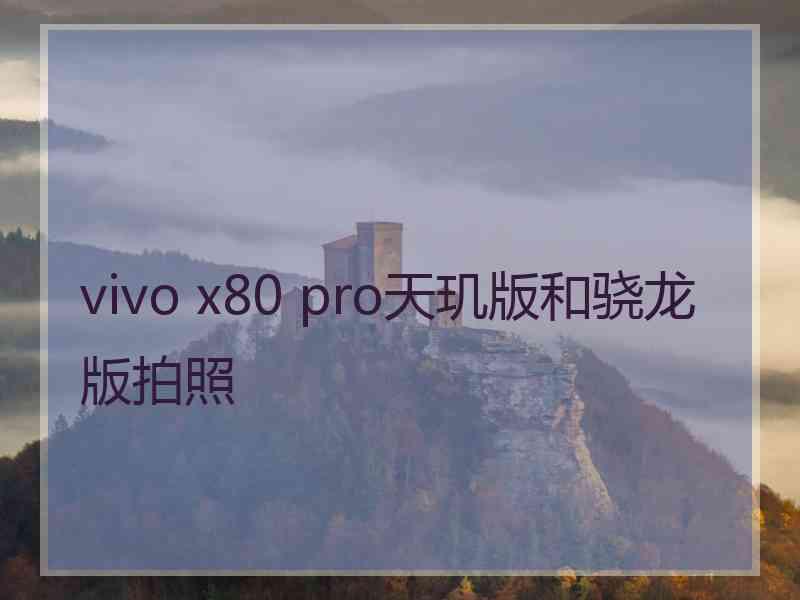 vivo x80 pro天玑版和骁龙版拍照