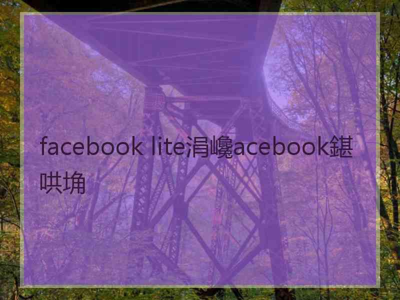 facebook lite涓巉acebook鍖哄埆