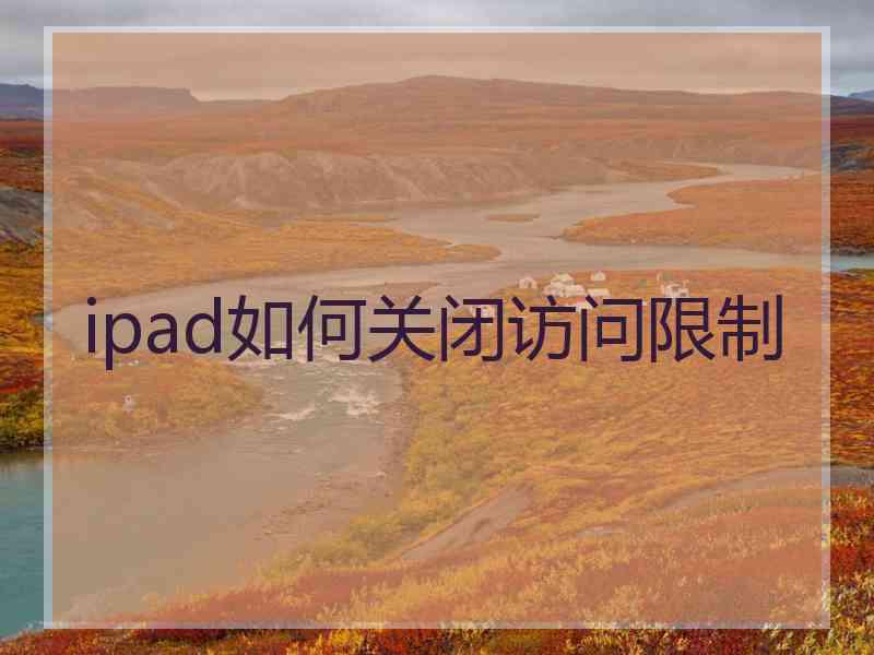 ipad如何关闭访问限制