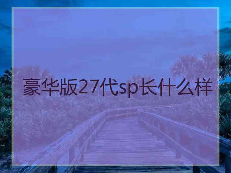 豪华版27代sp长什么样