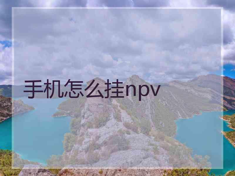 手机怎么挂npv