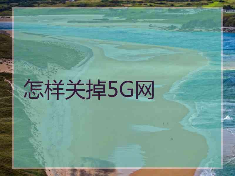 怎样关掉5G网