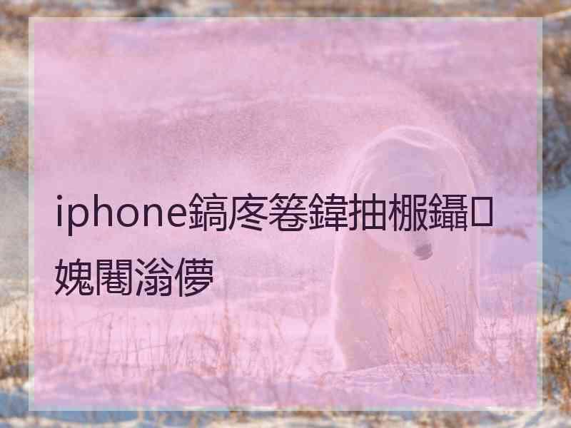 iphone鎬庝箞鍏抽棴鑷媿闀滃儚