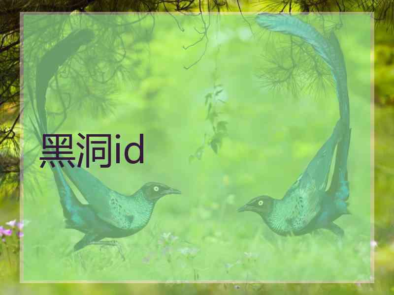 黑洞id