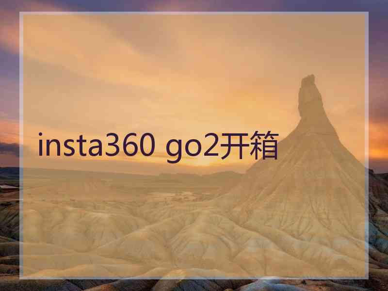 insta360 go2开箱