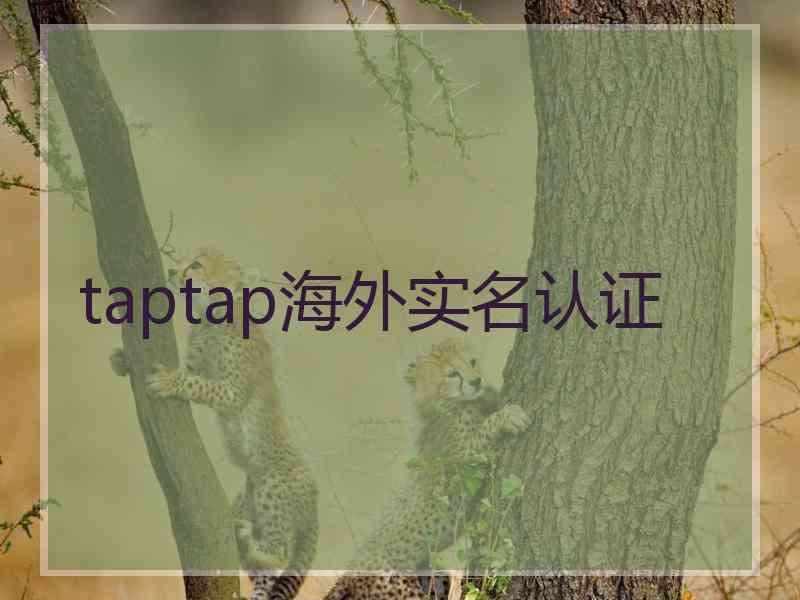 taptap海外实名认证