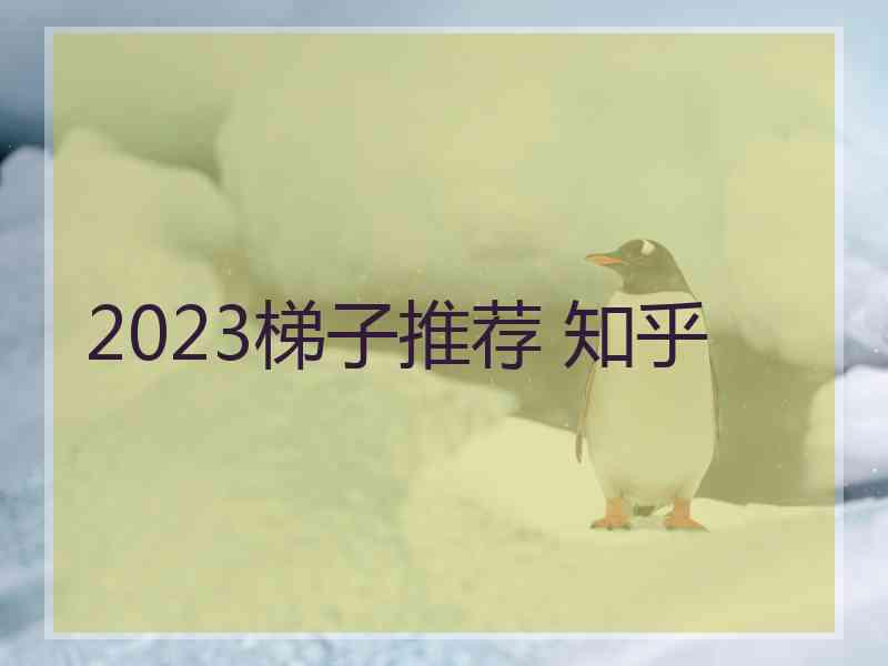 2023梯子推荐 知乎