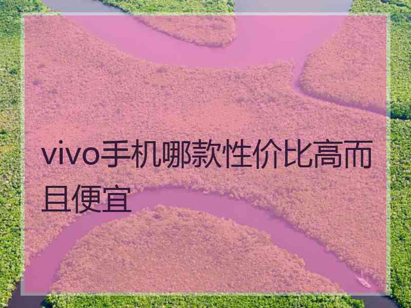 vivo手机哪款性价比高而且便宜