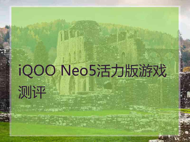 iQOO Neo5活力版游戏测评