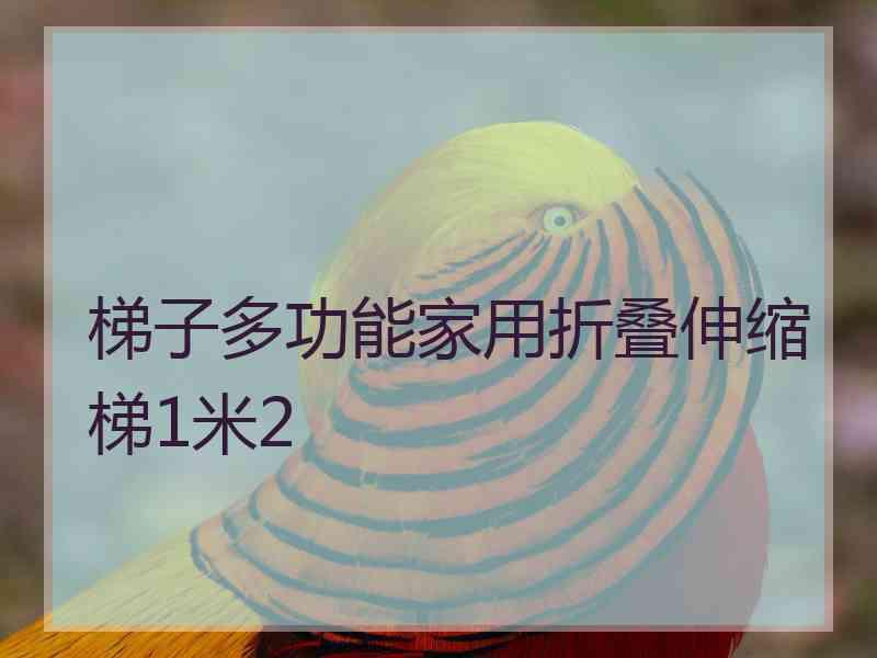 梯子多功能家用折叠伸缩梯1米2