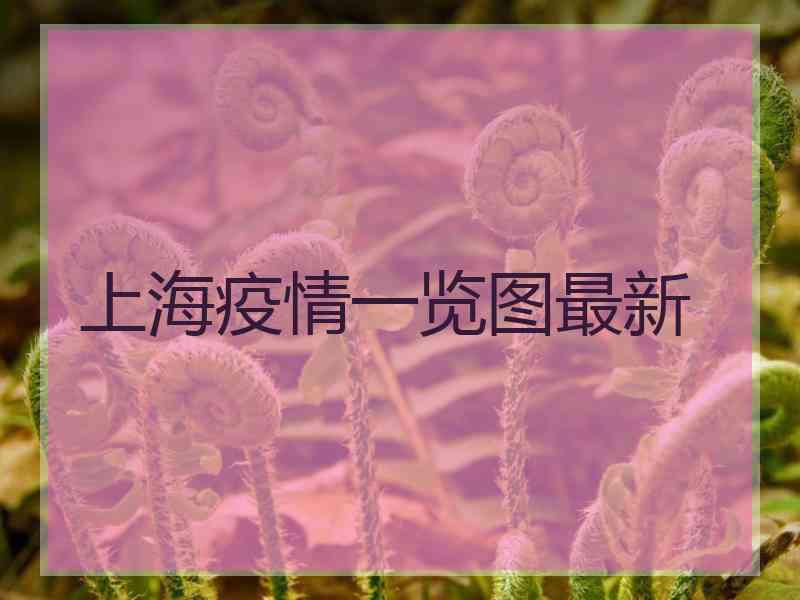 上海疫情一览图最新