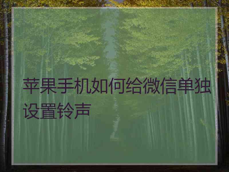 苹果手机如何给微信单独设置铃声