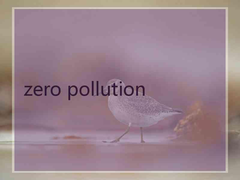 zero pollution