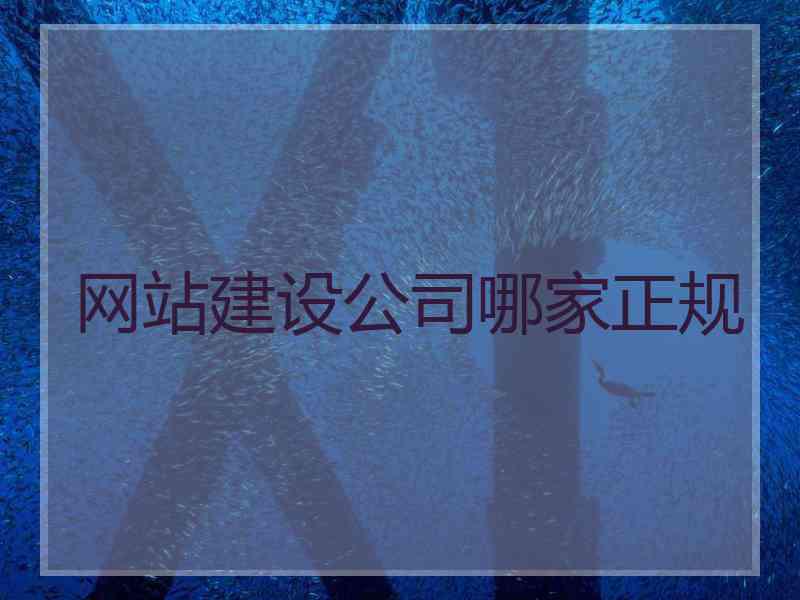 网站建设公司哪家正规