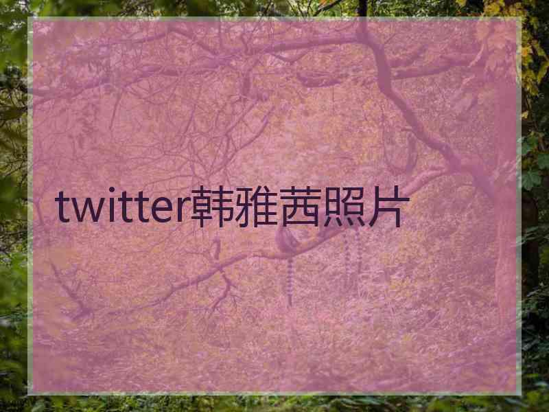 twitter韩雅茜照片