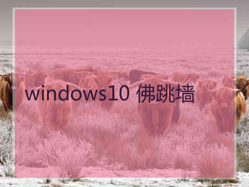 windows10 佛跳墙