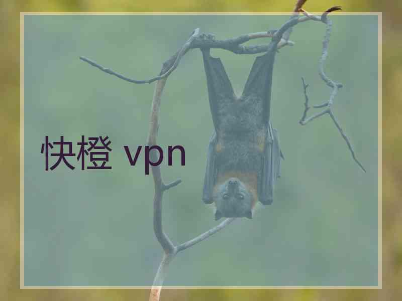 快橙 vpn