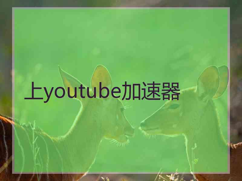 上youtube加速器