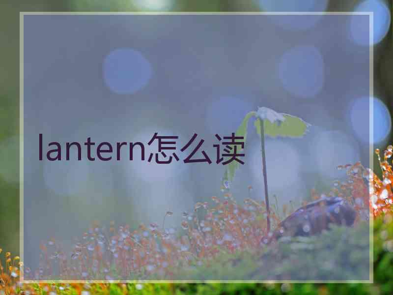 lantern怎么读